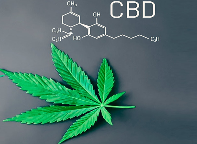 cbd-e-sport cbd-e-sport